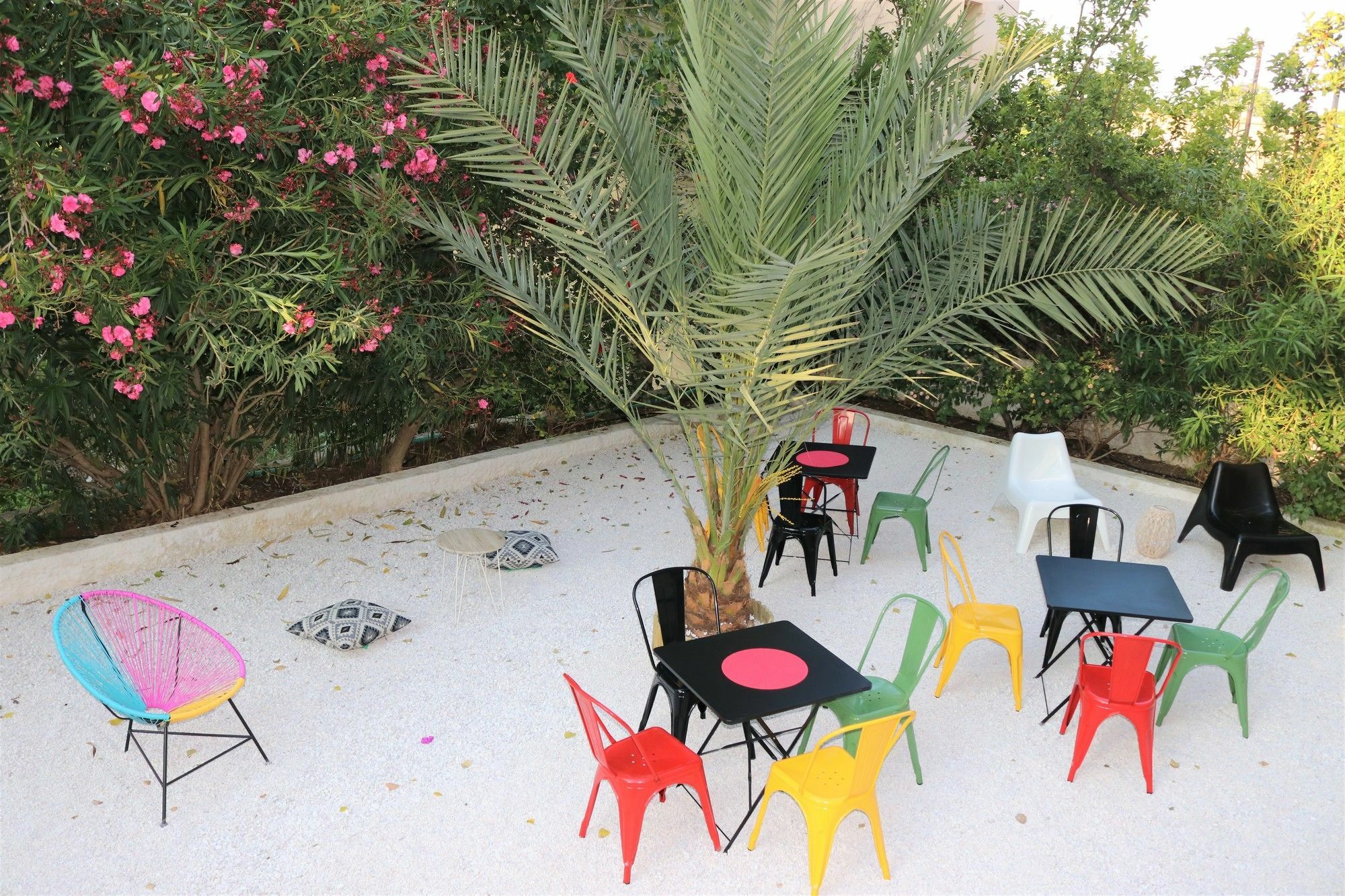 The Bongos - Socially Conscious Rooms, Part Of The Room Rate Goes To Charity Platanés 外观 照片